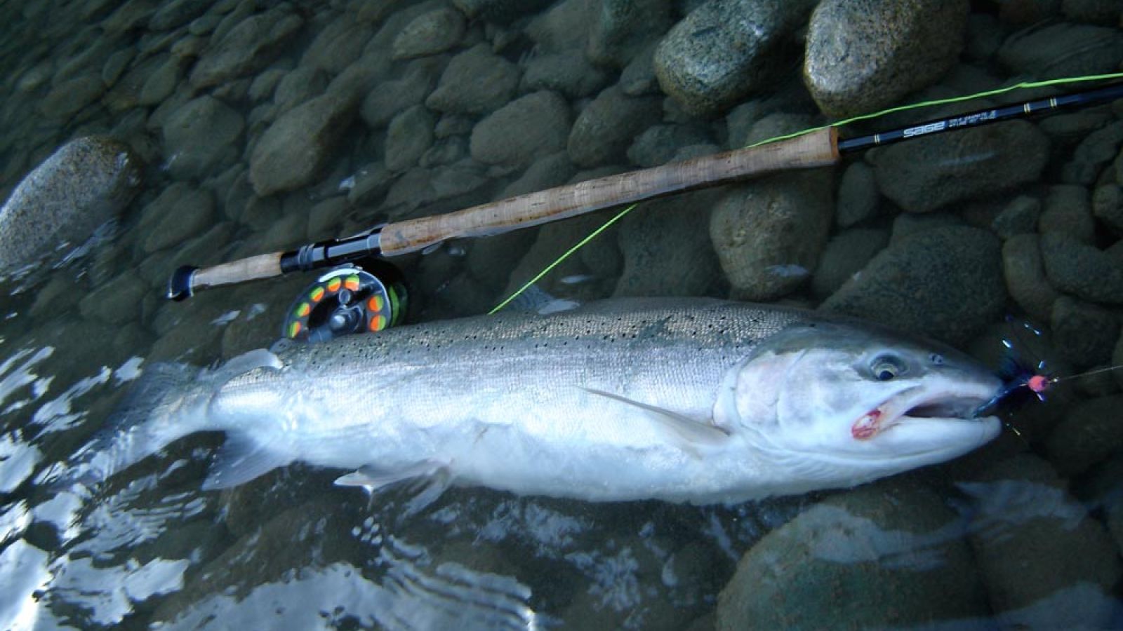 Lower Dean River Lodge - The Gear